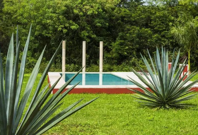 スイート, Hacienda Ticum