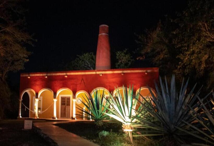 スイート, Hacienda Ticum