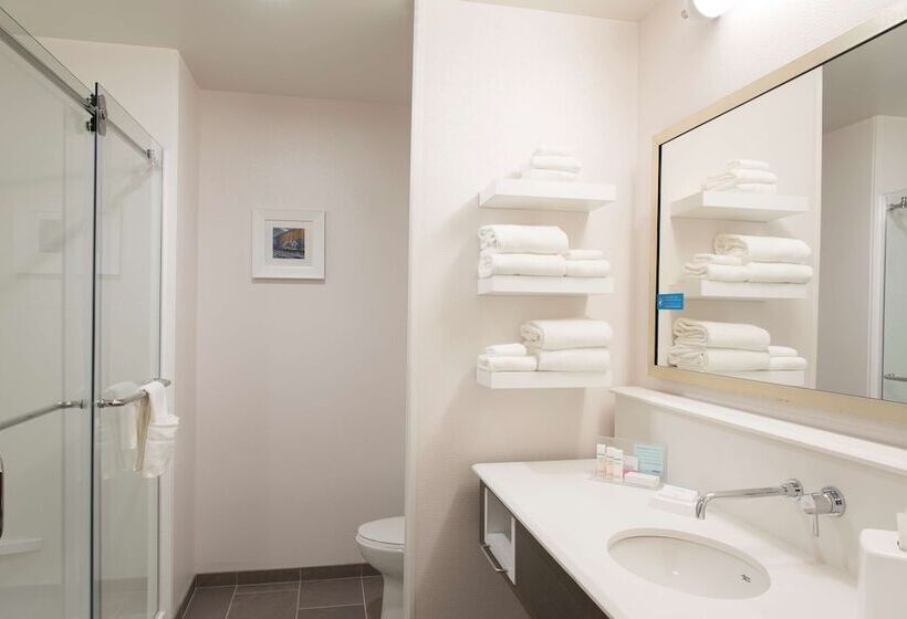 适合残疾人士使用的带超级大床的标准间, Hampton Inn & Suites Grand Rapids Downtown