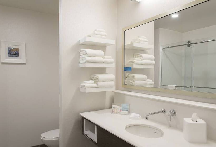 适合残疾人士使用的带超级大床的标准间, Hampton Inn & Suites Grand Rapids Downtown