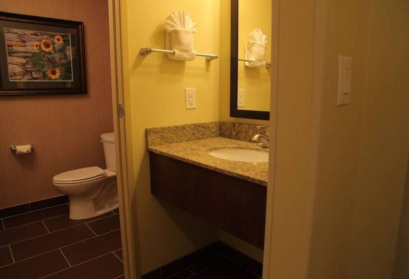 Номер Стандарт, Little Missouri Inn & Suites Watford City