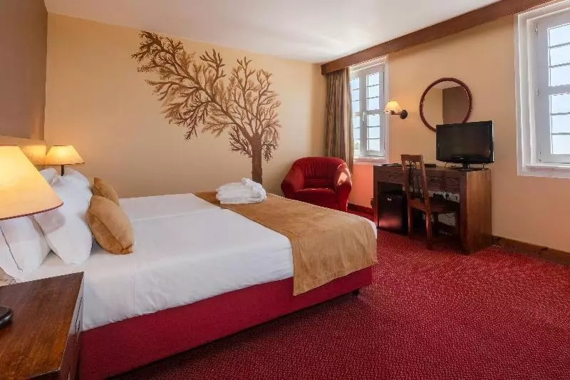 スタンダードルーム, Luna Hotel Serra Da Estrela