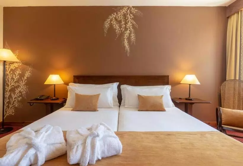 パノラミックビュースタンダードルーム, Luna Hotel Serra Da Estrela