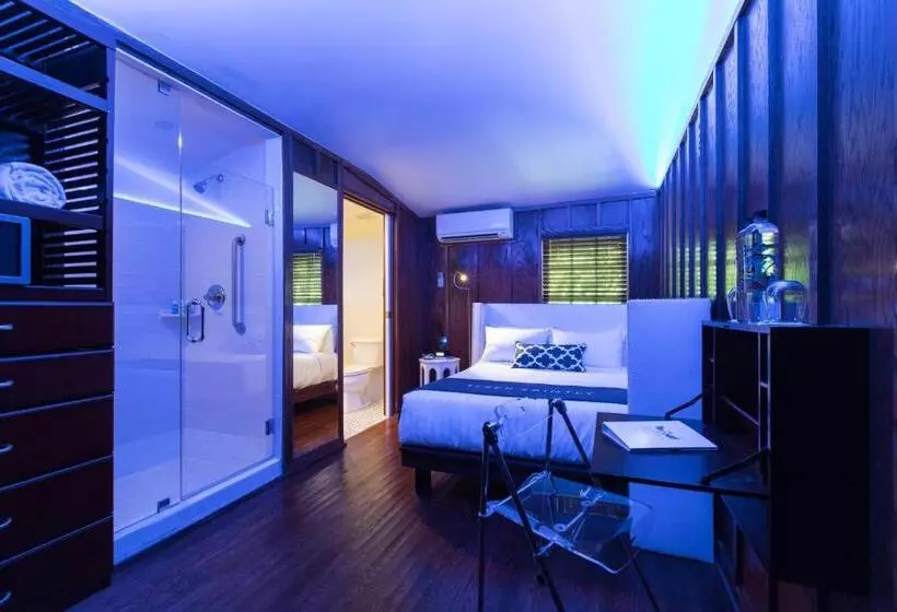 ベーシックルーム, The Saint Hotel Key West, Autograph Collection, Adult Only