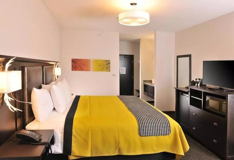 キングサイズベッドのデラックスルーム, Stoney Creek Hotel Kansas City Independence