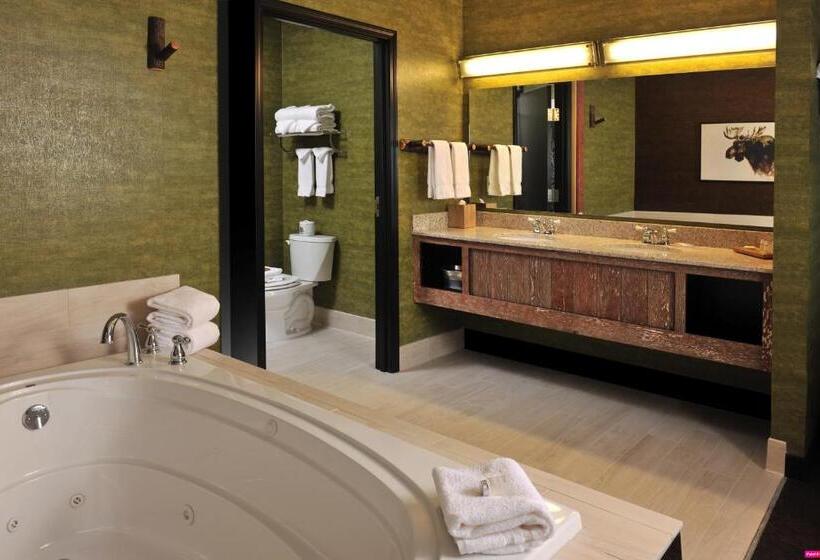 주니어 스위트, Stoney Creek Hotel Kansas City Independence