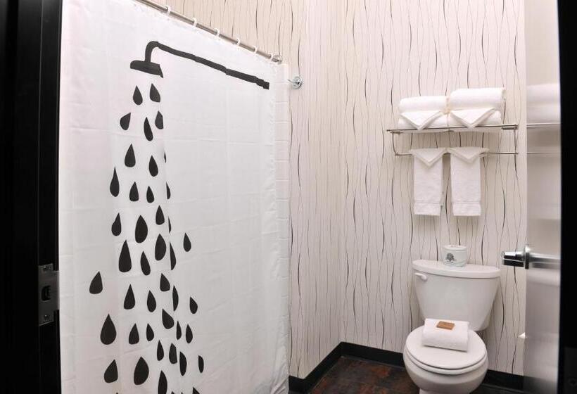 디럭스 룸 킹사이즈 침대, Stoney Creek Hotel Kansas City Independence