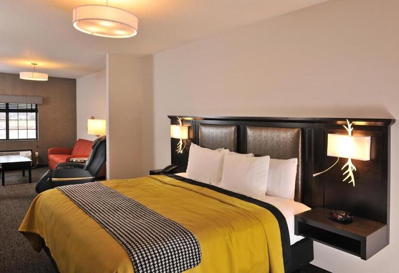 디럭스 룸 킹사이즈 침대, Stoney Creek Hotel Kansas City Independence