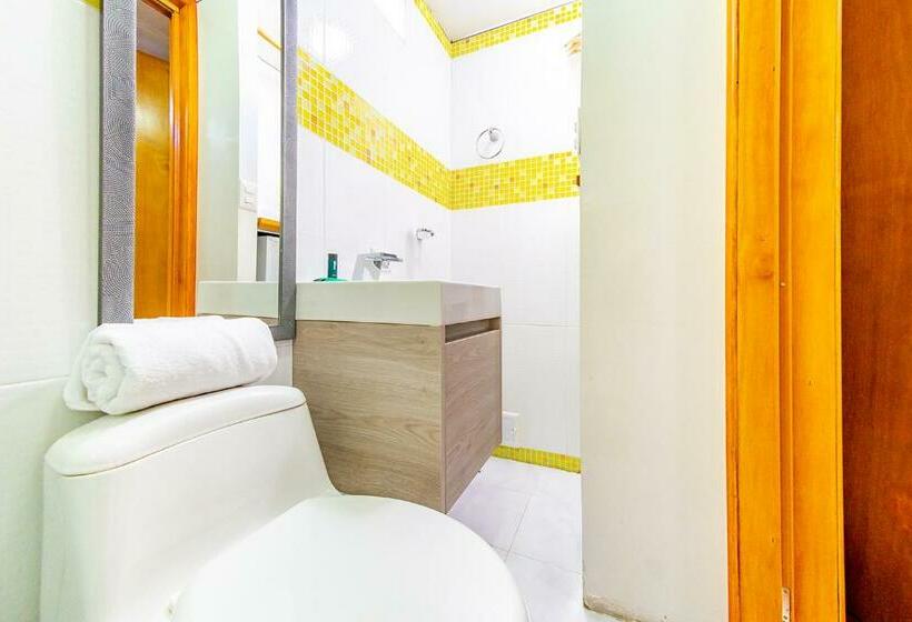 Номер Стандарт Индивидуальный, Ayenda Golden Empresarial