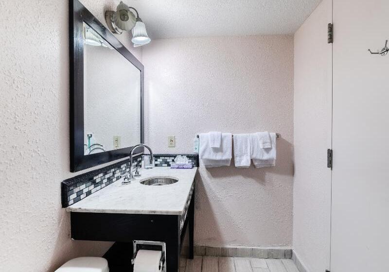 Номер Стандарт, The Mclure Hotel And Conference Center