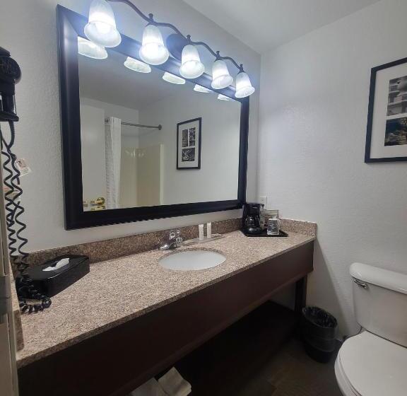 سوئیت با تخت بزرگ, Country Inn & Suites By Radisson, Paducah, Ky