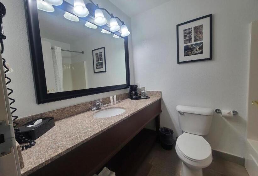 اتاق استاندارد, Country Inn & Suites By Radisson, Paducah, Ky