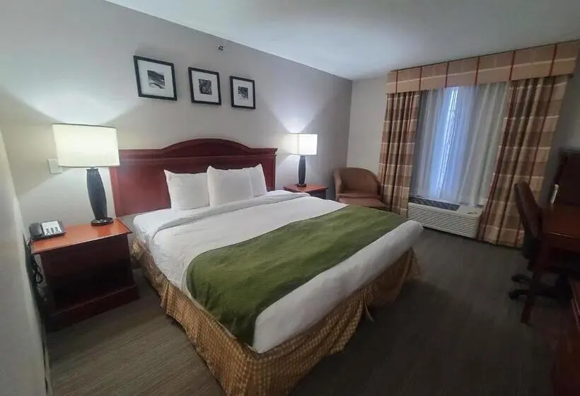 キングサイズベッドのスタンダードルーム, Country Inn & Suites By Radisson, Paducah, Ky