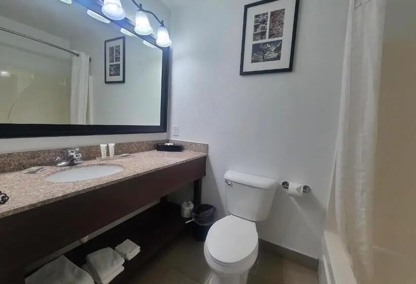 スイート, Country Inn & Suites By Radisson, Paducah, Ky