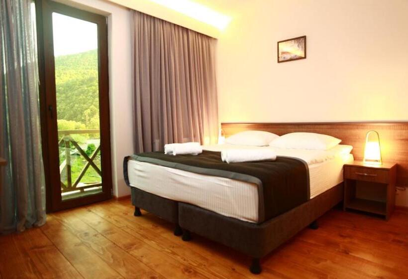 اتاق استاندارد, Tsesi