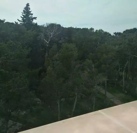 اتاق لوکس, Aparthotel Miramare