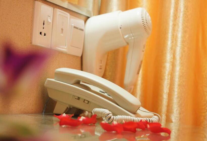 Studio Familiare, Balik Pulau