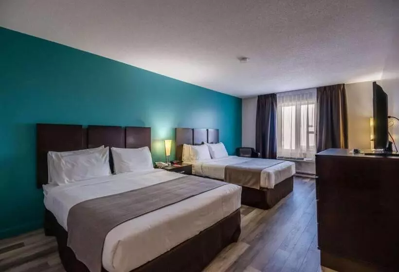 スタンダードルーム, Econo Lodge Inn & Suites