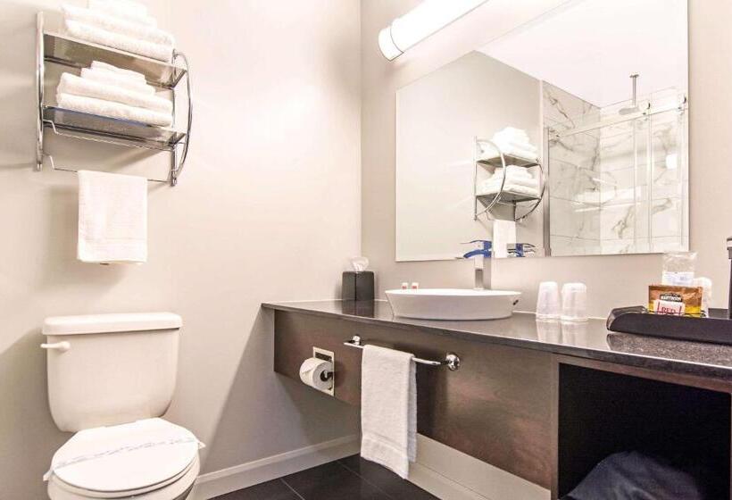 스탠다드 룸, Econo Lodge Inn & Suites