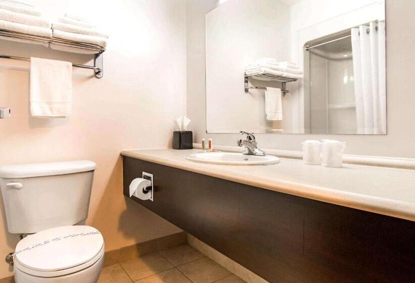 스탠다드 룸, Econo Lodge Inn & Suites