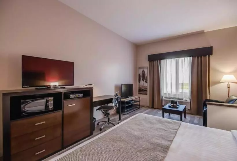 キングサイズベッドのスイートルーム, Econo Lodge Inn & Suites