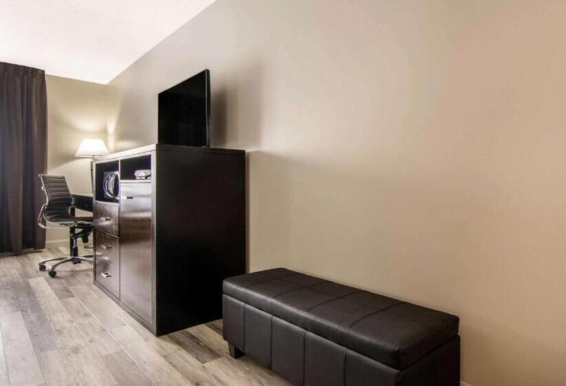 4인용 스탠다드 룸, Econo Lodge Inn & Suites