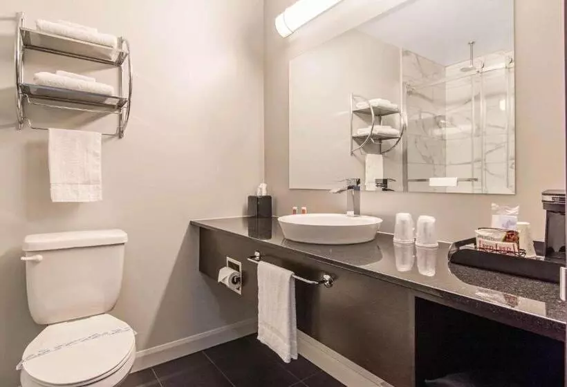 スタンダード4人部屋, Econo Lodge Inn & Suites
