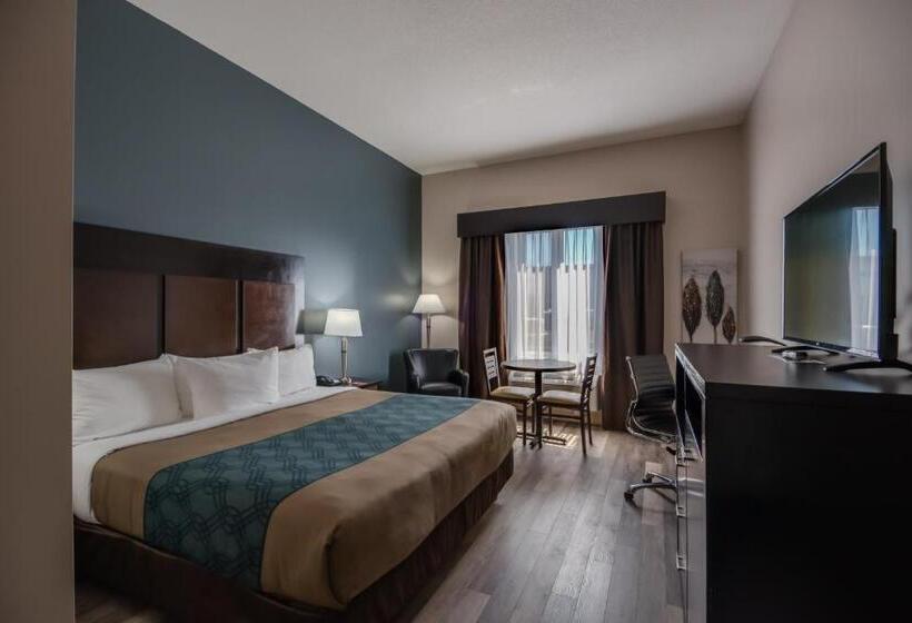 스탠다드 룸 킹사이즈 침대, Econo Lodge Inn & Suites