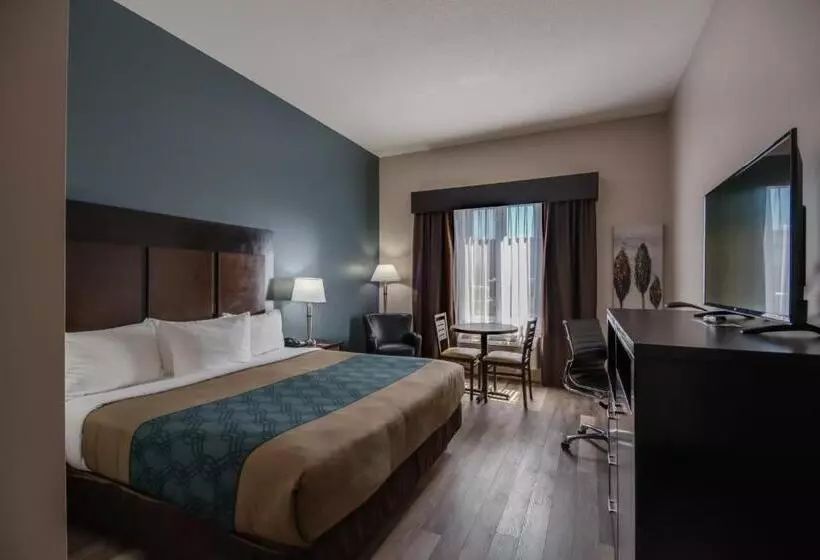 キングサイズベッドのスタンダードルーム, Econo Lodge Inn & Suites