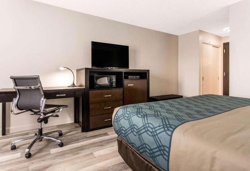 Стандартный Номер Кровать Кинг, Econo Lodge Inn & Suites