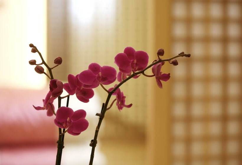 חדר דלוקס, Matthieu Yeosu