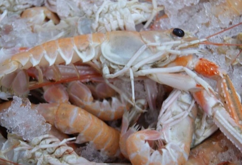 豪华房间, Quinlan & Cooke Boutique Townhouse And Qcs Seafood Restaurant