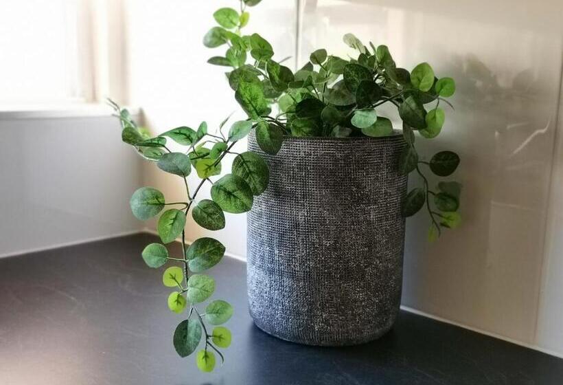 ファミリールーム, Palm Waters Holiday Villas