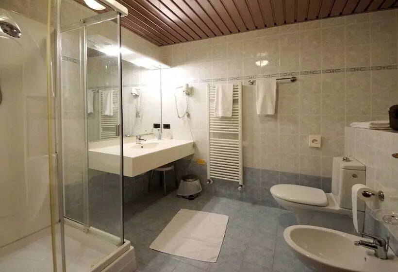 シングルデラックスルーム, Park Hotel Zanzanù