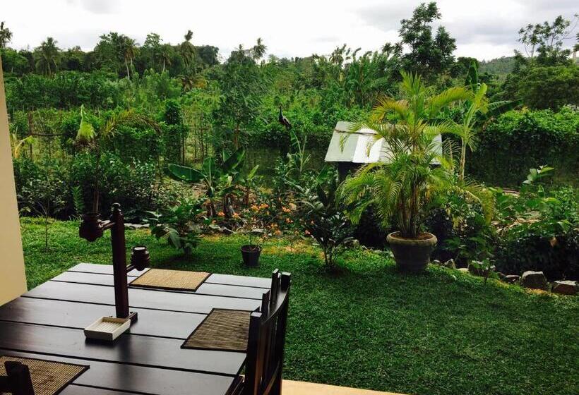 디럭스 룸, Peacock Villa