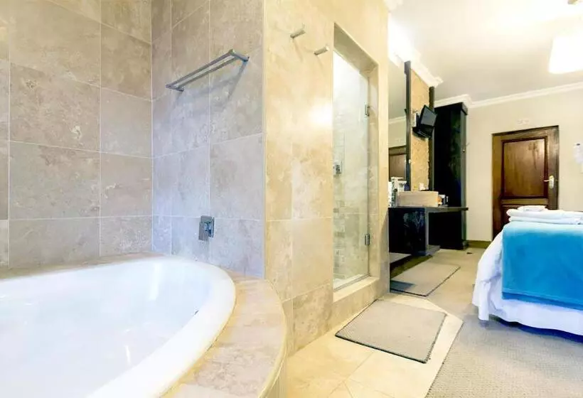 Deluxe-huone, Or Tambo Guest House