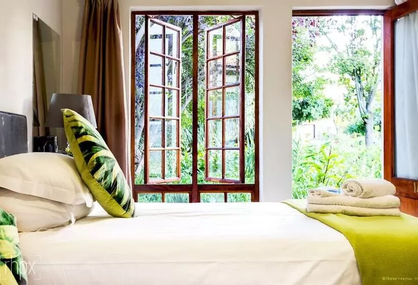 Economy-huone, Or Tambo Guest House