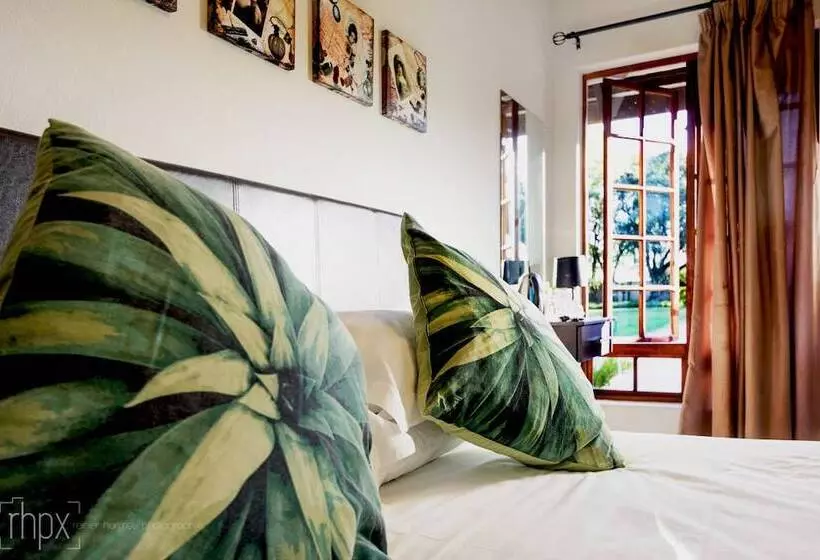 Economy-huone, Or Tambo Guest House