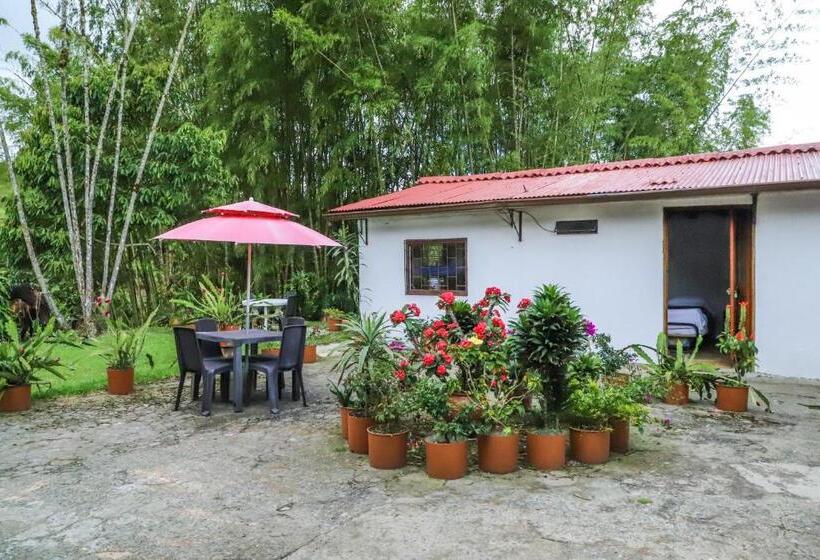 غرفة قياسية, Finca Hotel Los Guayacanes