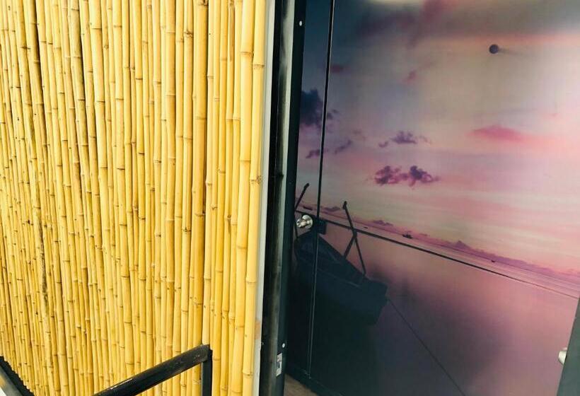 اتاق استاندارد با چشمانداز دریا, Surfari Punta Rocas