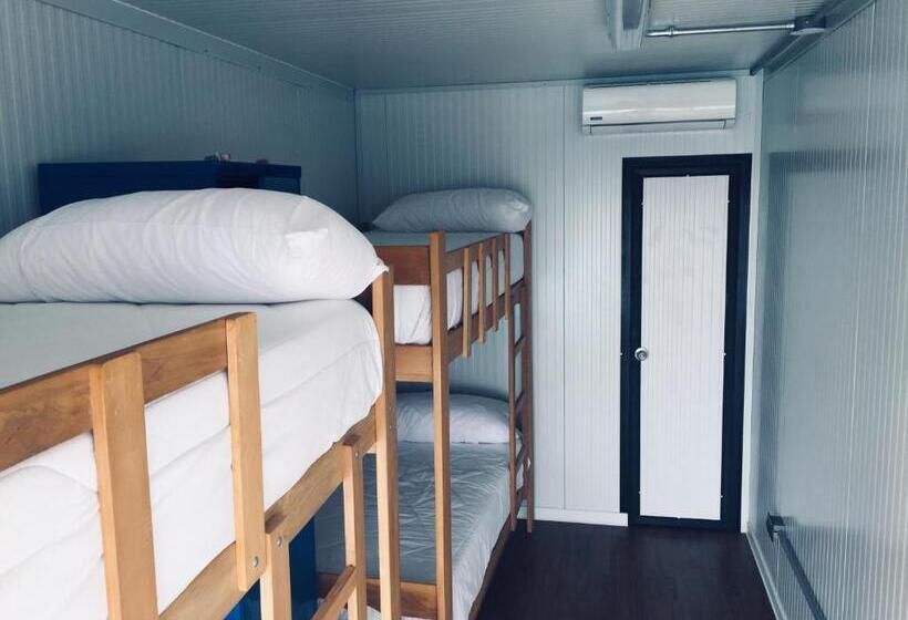 اتاق استاندارد چهار تخته, Surfari Punta Rocas