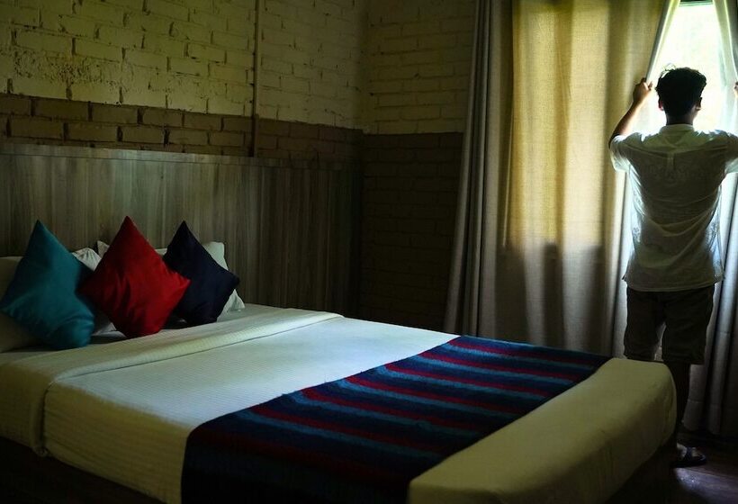 کلبه ییلاقی, Nana Jungle Resort