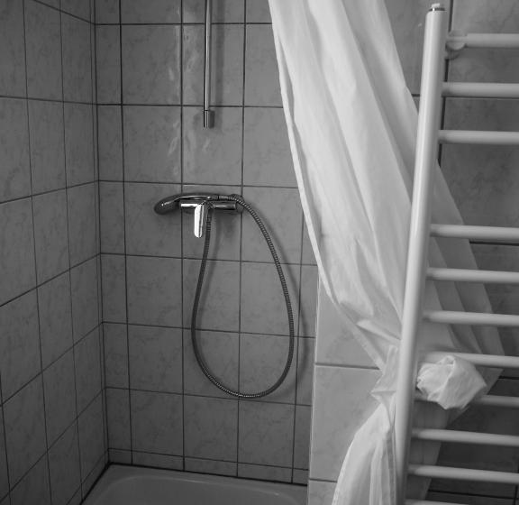 اتاق استاندارد با سرویس بهداشتی مشترک, Kast Guesthouse