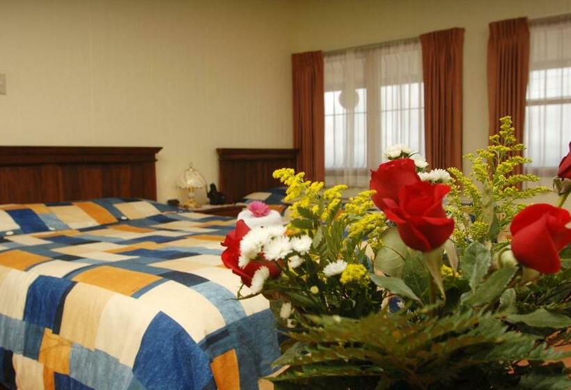 Номер Стандарт с Террасой, Las Brumas