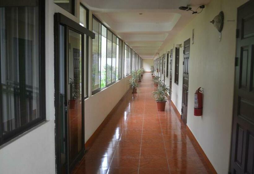 Студия Стандарт, Las Brumas