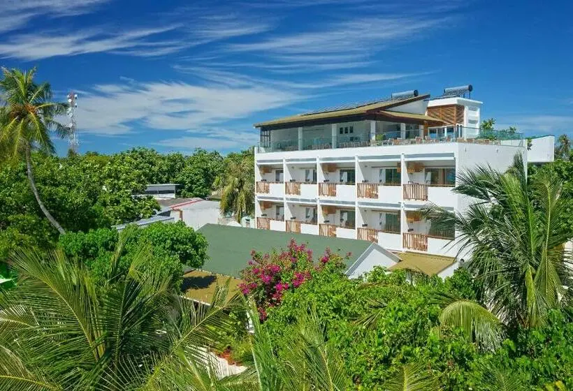 اتاق استاندارد, Luau Beach Inn Maldives