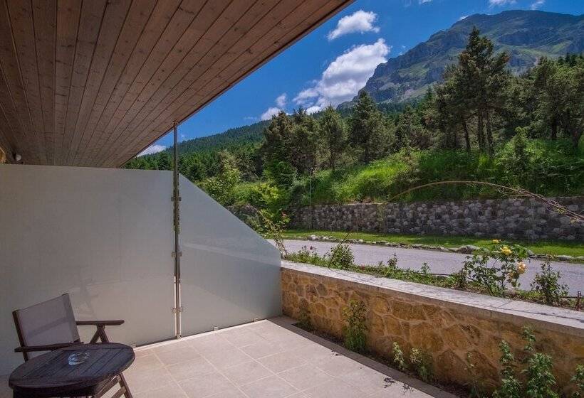 חדר סופריור, Orizontes Tzoumerkon Hotel Resort