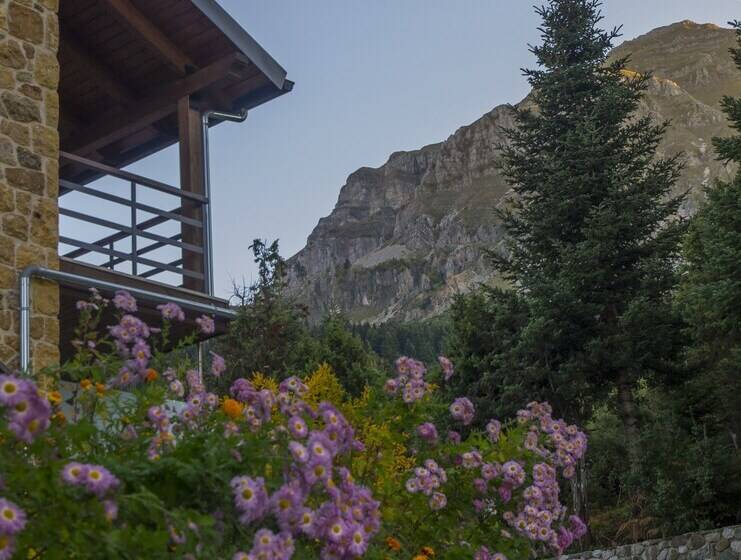 חדר סופריור, Orizontes Tzoumerkon Hotel Resort