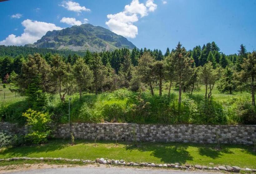 חדר דופלקס, Orizontes Tzoumerkon Hotel Resort