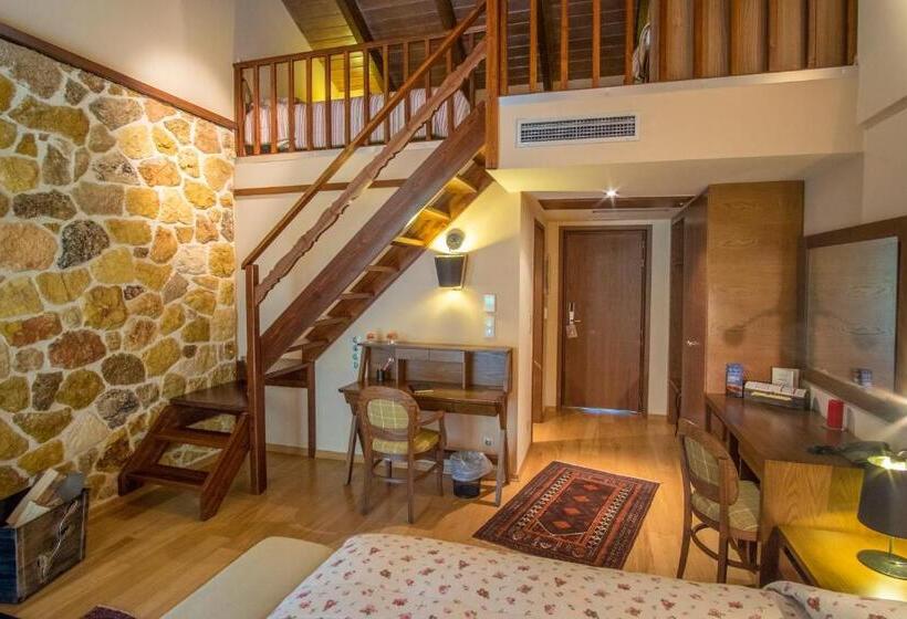 اتاق دوبلکس, Orizontes Tzoumerkon Hotel Resort